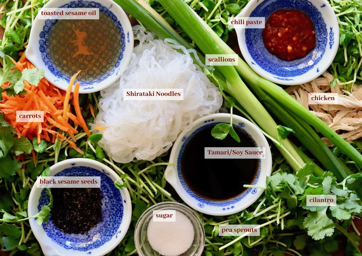 Ingredients for a noodle stir fry including carrots, pea sprouts, scallions, chili paste, sesame oil, garlic, ginger cilantro and soy sauce.