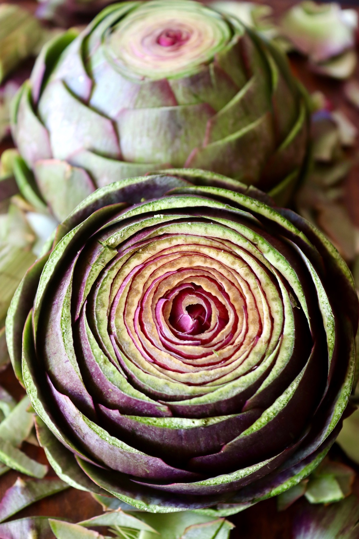 Top view of trimmed purple artichoke.