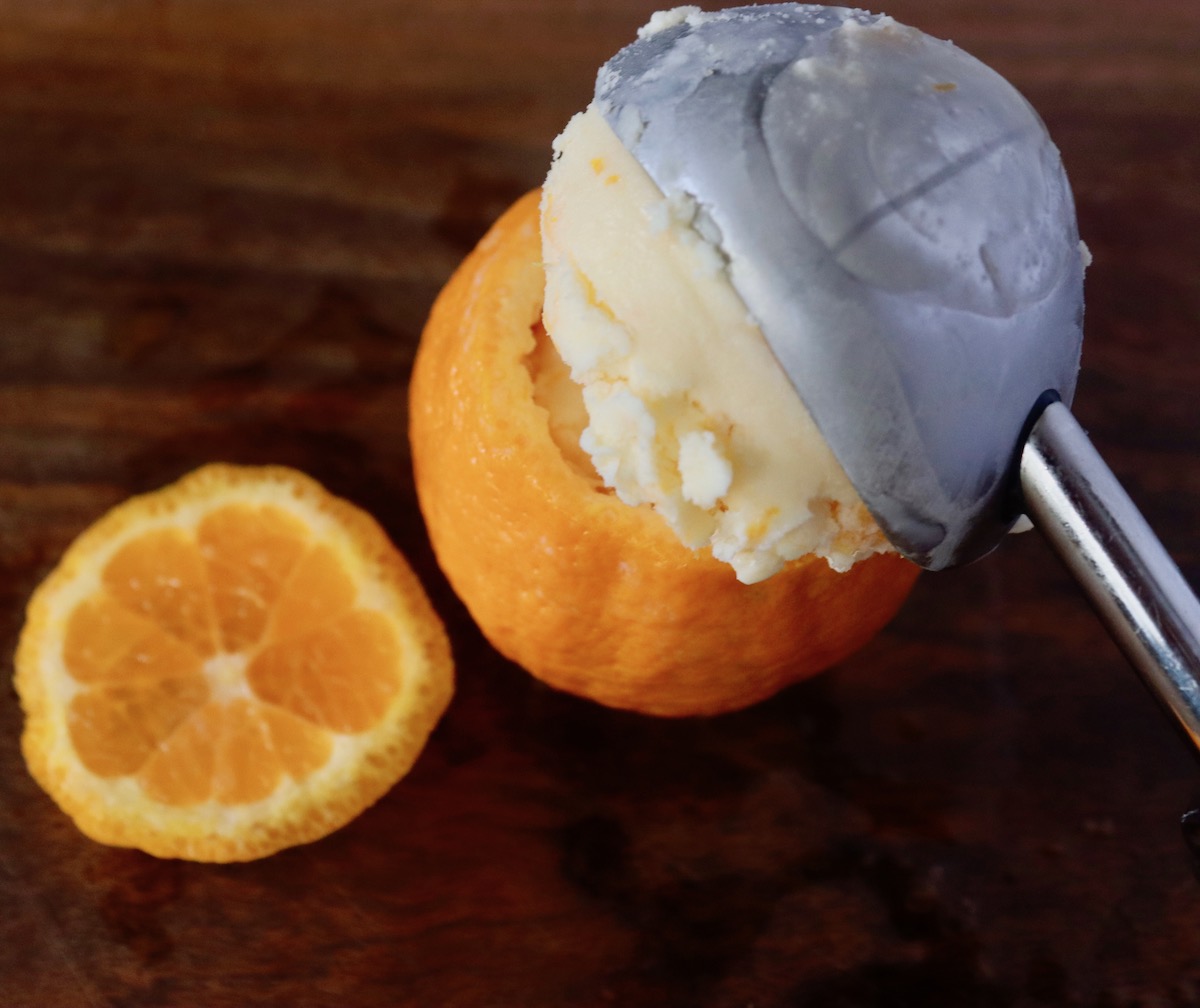 Scoop of Creamsicle ice cream being added to an empty tangerine peel.